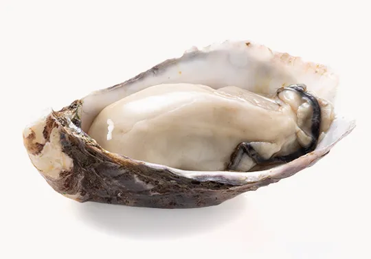 殻付き牡蠣
